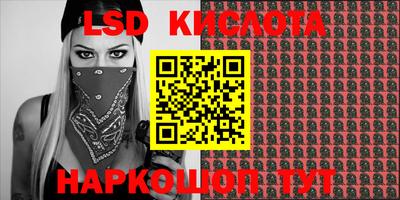 стафф Кандалакша