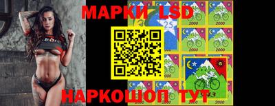 стафф Кандалакша